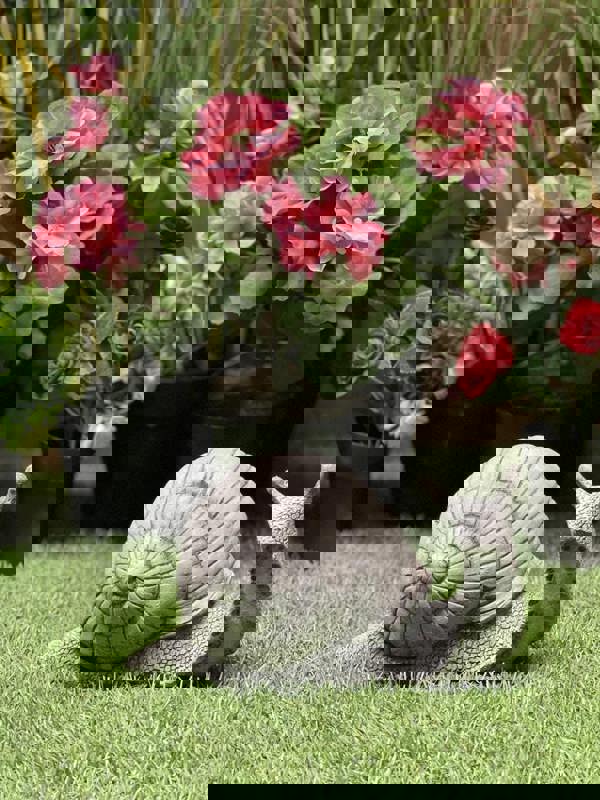 Small Stone Cast Snail Garden Ornament