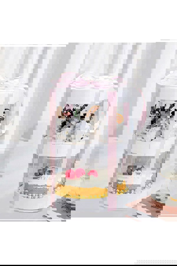 Living and Home 8-Inch Double-Layer Transparent Ribbon Packaging Box