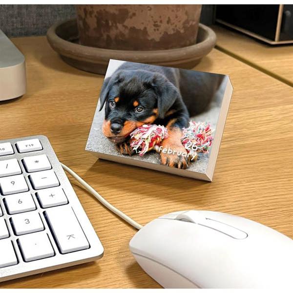 Puppies Mini Desk Calendar 2027, Desk Calendars, Day To View, Dogs, Gift