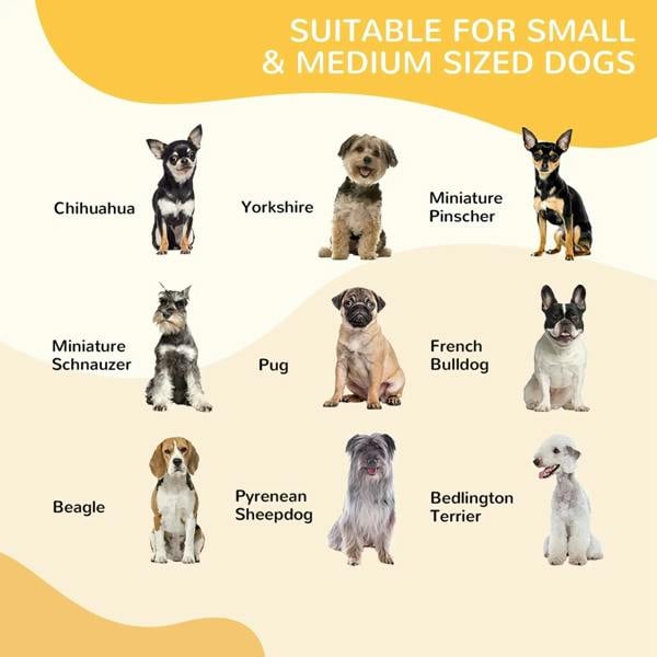 Small dog breed size examples for choosing a playpen for small and medium dogs