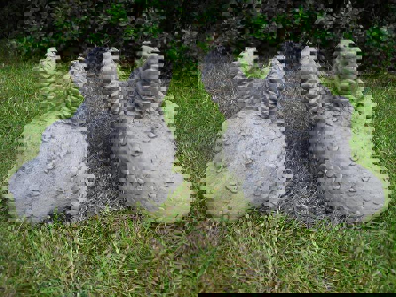 Pair of Large Sleepy Dragons Garden Statuary