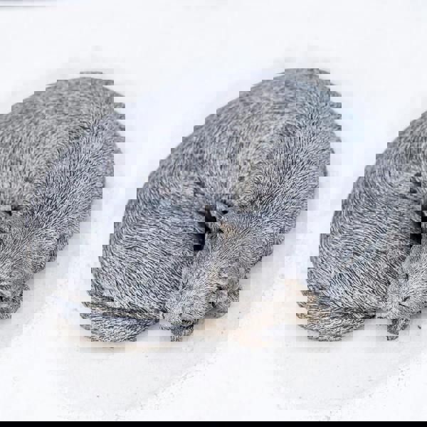 Stone Cast Sleeping Cat Ornament