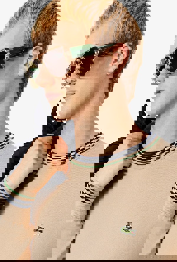 Lacoste Striped Cotton Jersey Sweater