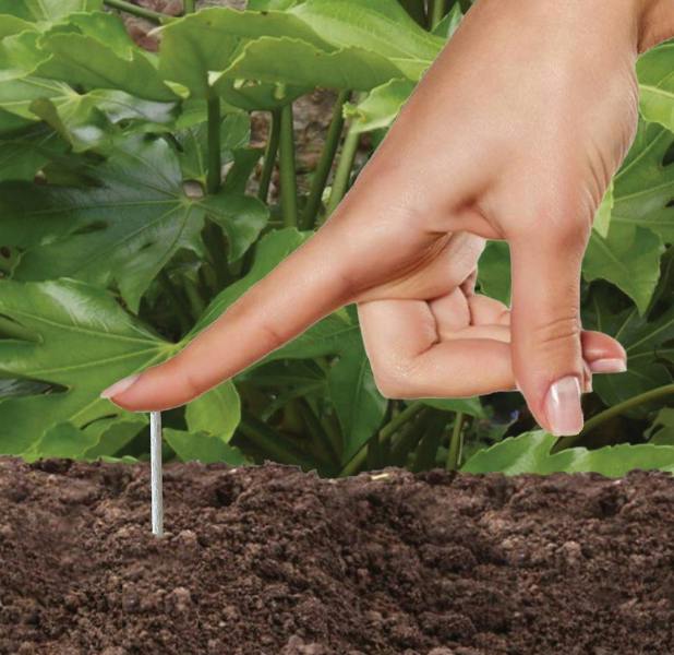Jobe's Fern and Palm Plant Food Sticks x30 Slow Release Fertiliser - Devonia London