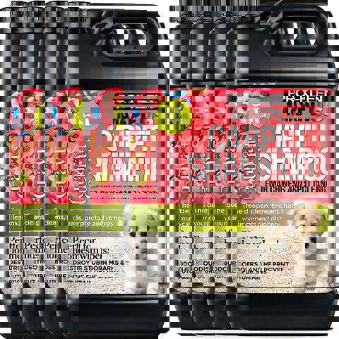 ProKleen Pro-Kleen MAXPLUS Carpet Shampoo Guava And Coconut 20L