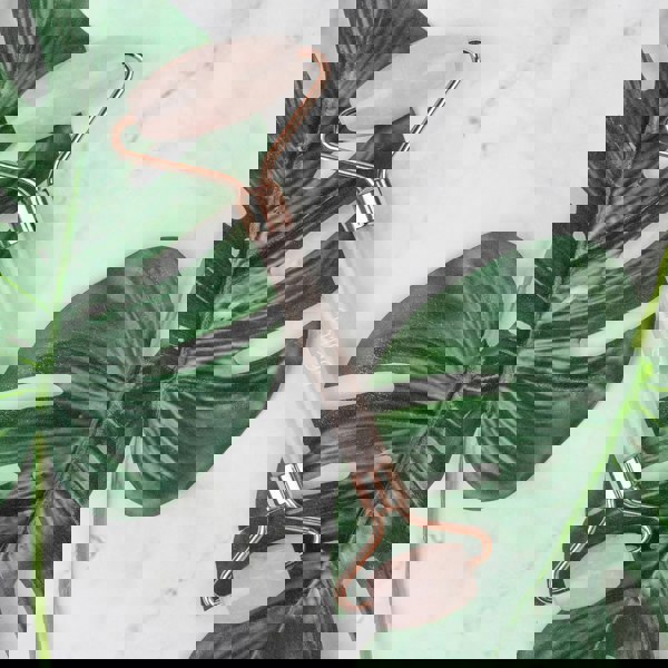 Myga Rose Quartz Facial Roller