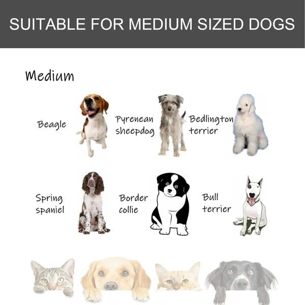 Dark grey metal dog kennel for medium-sized dogs with open top panel and door