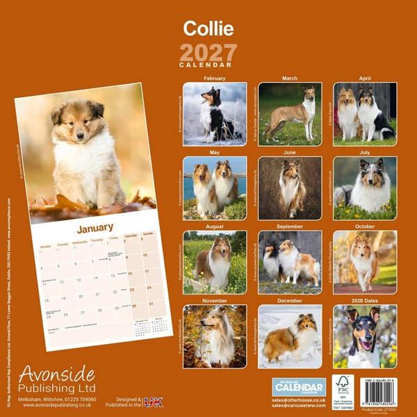 Collie Calendar 2027, Wall Calendars, Month To View, Dogs, Gift