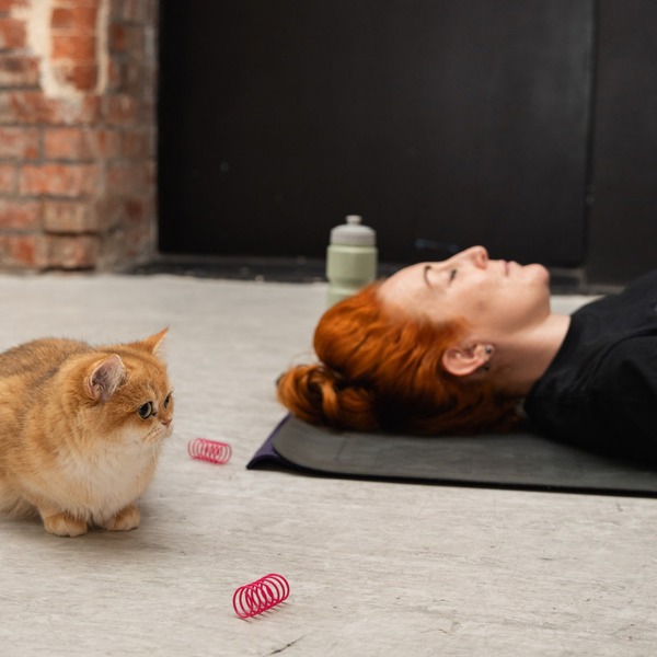Virgin Experience Days London Kitty Yoga Session with Play Time for Two