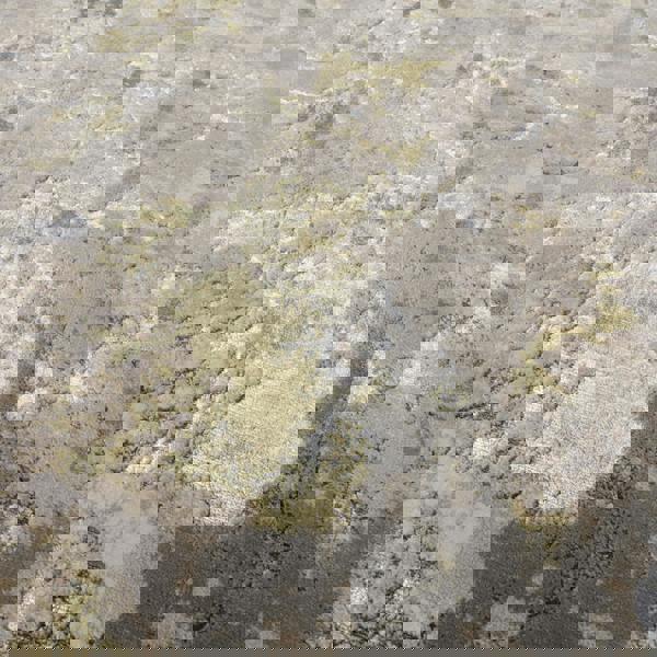 Asiatic Aurora AU04 Galaxy Rug