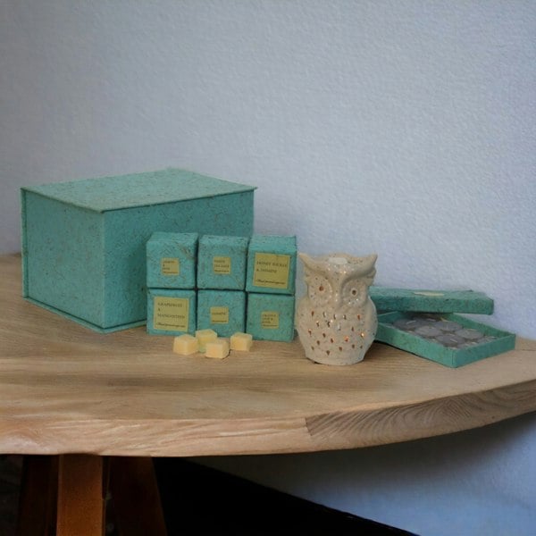 Artisan Furniture Owl Wax Melter Set (Fruit)