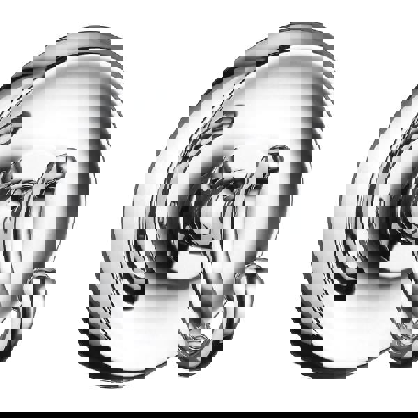 Polished chrome towel hook