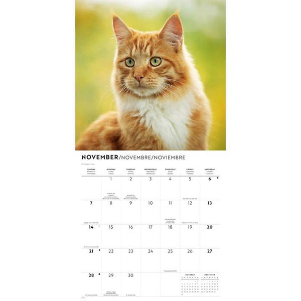 Ginger Cats Calendar 2027, Wall Calendars, Month To View, Cats, Gift