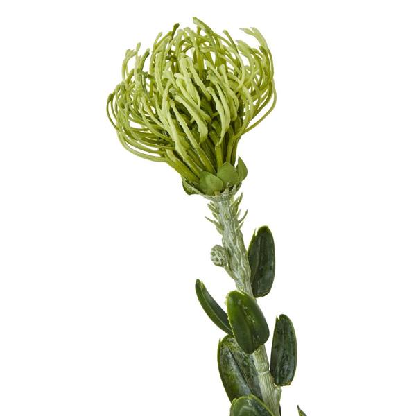 Wyld Haus Set of 3 Artificial Flowers Green Pincushion Protea Sprays