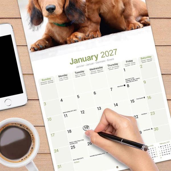 Long Haired Dachshund Calendar 2027, Wall Calendars, Month To View, Dogs, Gift