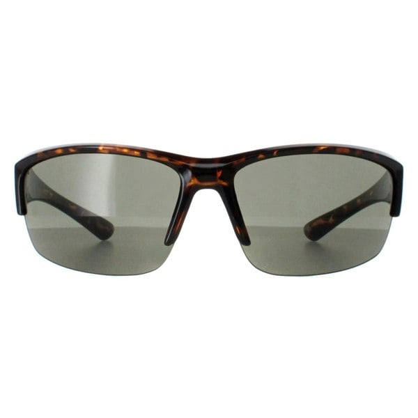 Smarty Sunglasses X2036 C Demi Brown Tortoise Green