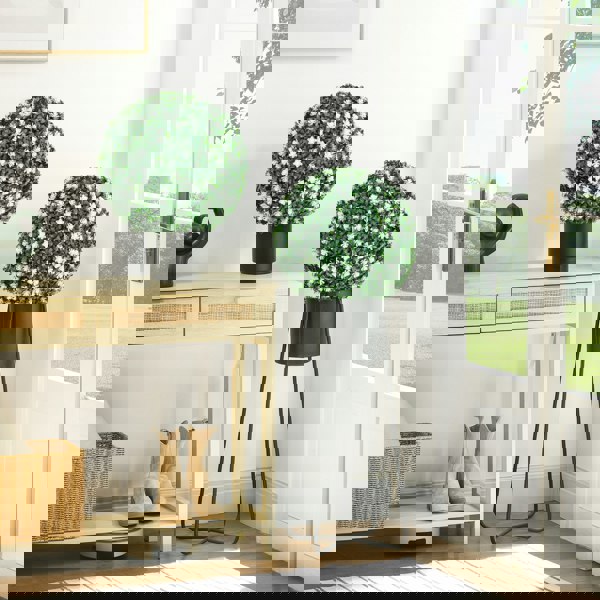 Artificial Topiaries