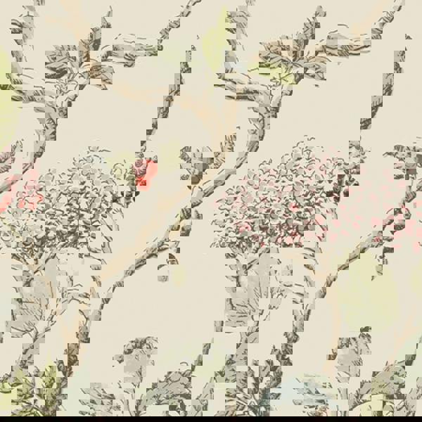 Laura Ashley Elderwood Wallpaper - Natural - 10m