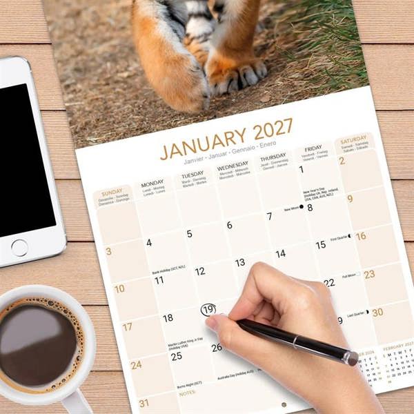 Tigers Calendar 2027, Wall Calendars, Month To View, Animals, Gift
