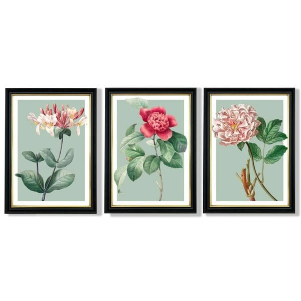 Artze Wall Art Vintage Flowers Honeysuckle, Peony Set of 3 Framed Prints