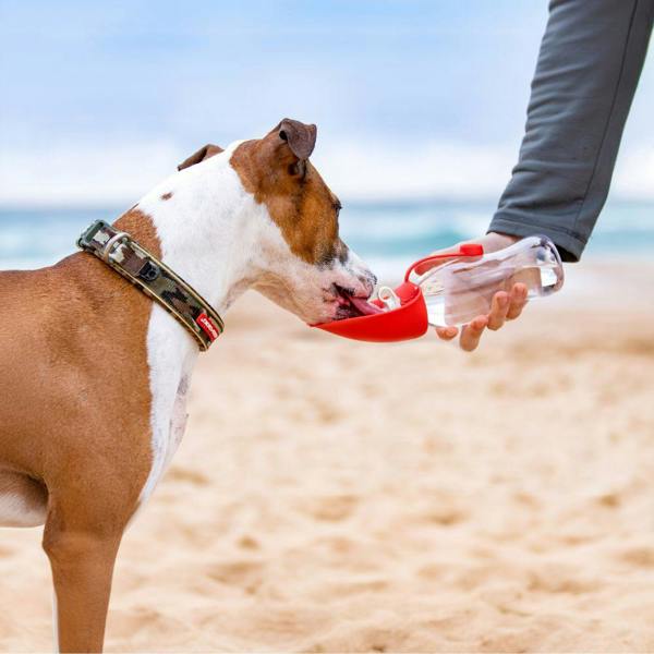 EzyDog Leaf Dog Water Bottle