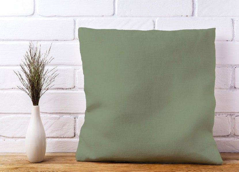 Warren Reed Sage Green Cushions