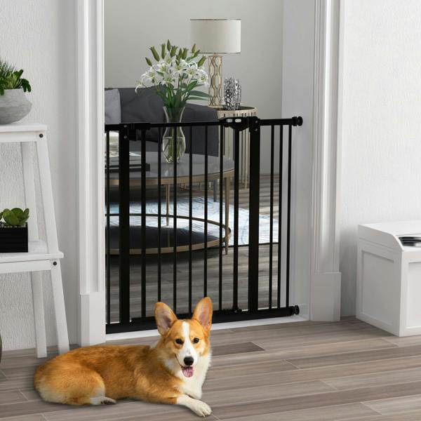 Pet Gate