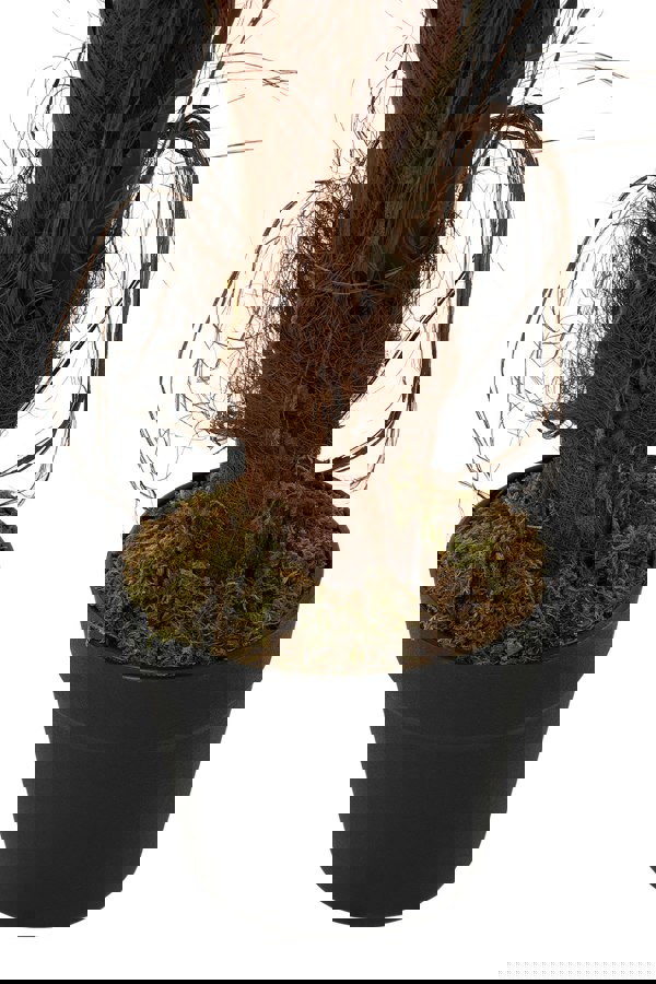 Living and Home 120cm Artificial Palm Tree Potted for Garden, Office & Home Decor