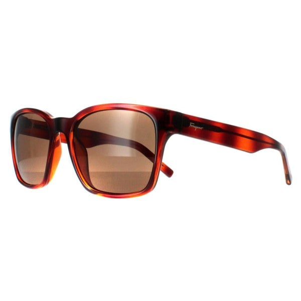 Salvatore Ferragamo Sunglasses SF959S 214 Tortoise Brown