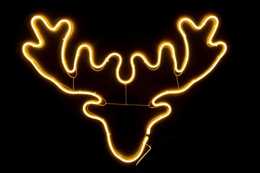 Stag Head Neon Effect Rope Light Silhouette with 90 Warm White LEDs for Indoor and Outdoor Display image 7