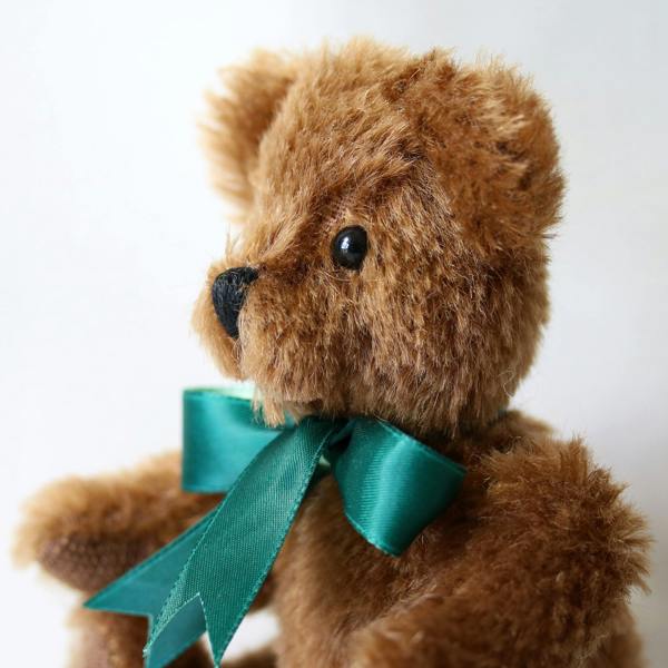 Canterbury Bears Chestnut Peter