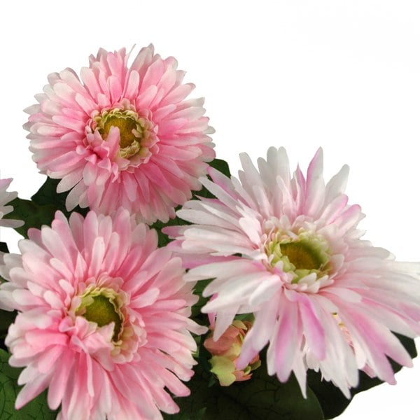 Leaf 33cm Artificial Potted Daisy Pink