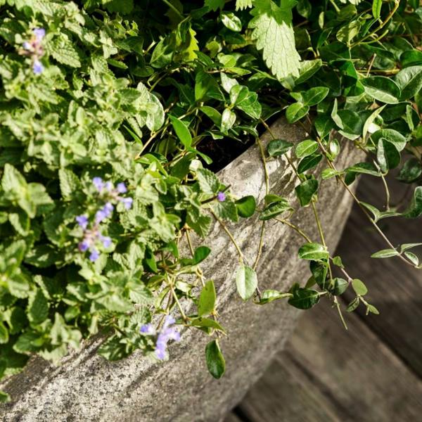 A low-angle shot of a large Cranford Oval Planter on a wooden deck, emphasizing its curved, sculptural shape and natural stone finish against green groundcover.