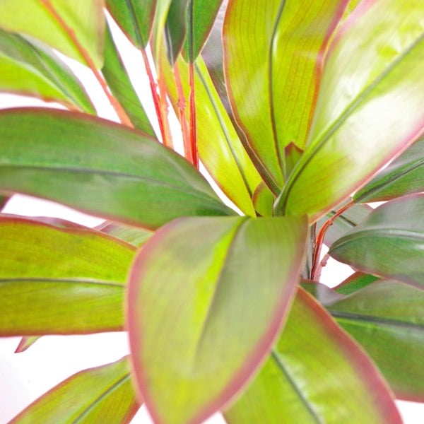 Leaf 100cm Artificial Potted Dracaena Tropical Plant