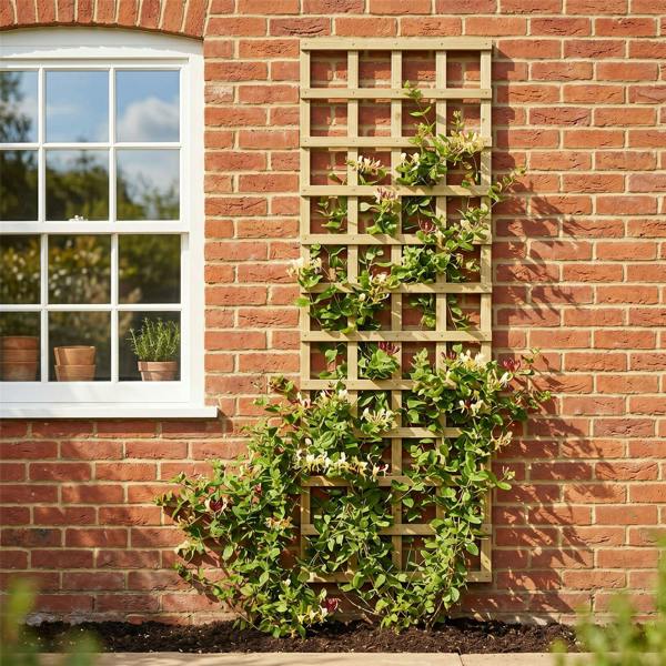 [rackhams variation] trellis flat top standard square [6ft x 1ft - 6ft] 3