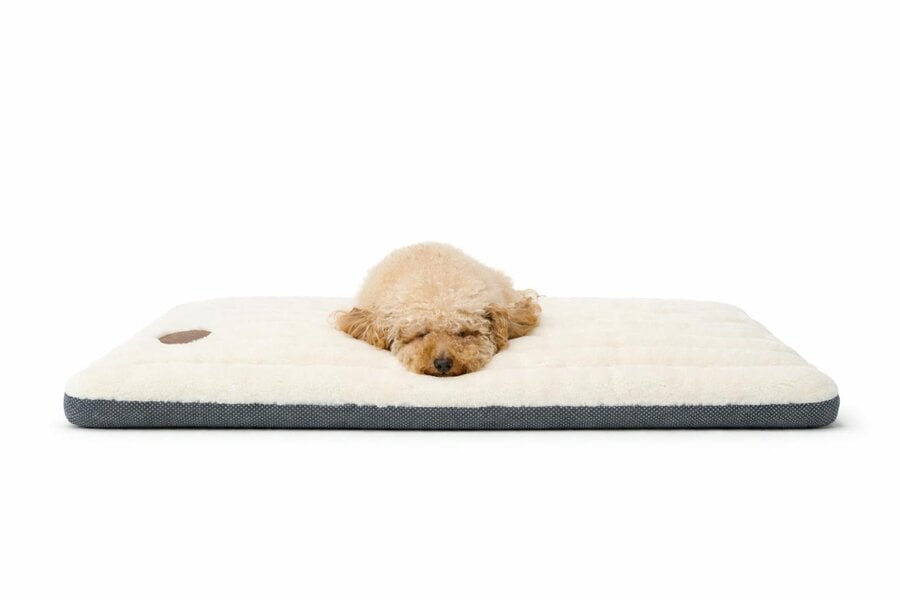 Snug and Cosy Pets Alaska Memory Foam Faux Fur Dog Pet Mat - Orthopaedic Support & British Design