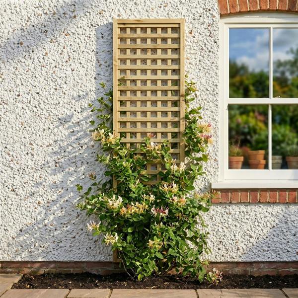 3 pack trellis urban square [w.6ft x h.1ft] 1
