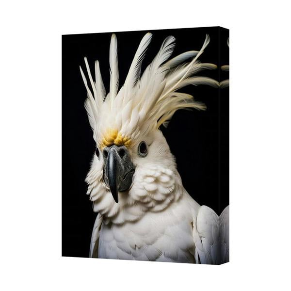 Benjamin Tate Design White Cockatoo On Canvas Wall Art With Dramatic Black Background