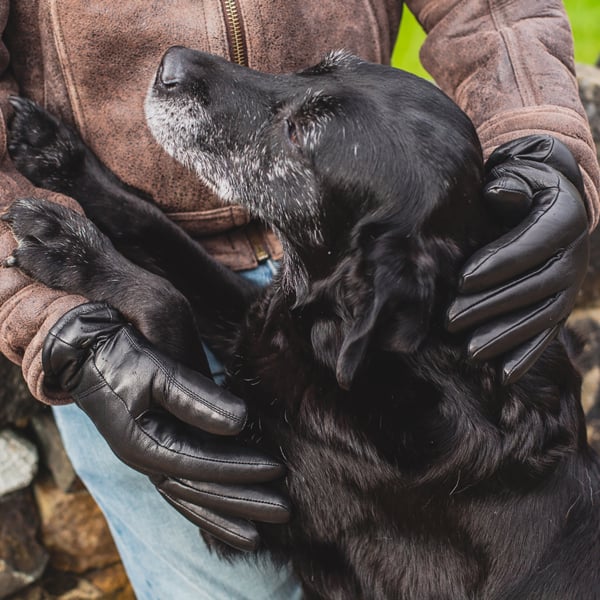 Nordvek Mens Leather Gloves With Sheepskin & Lambwool Lining