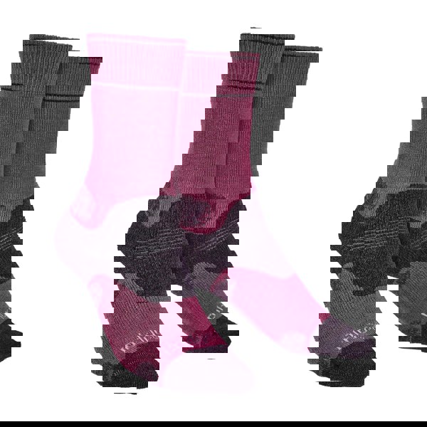 t4option1_0