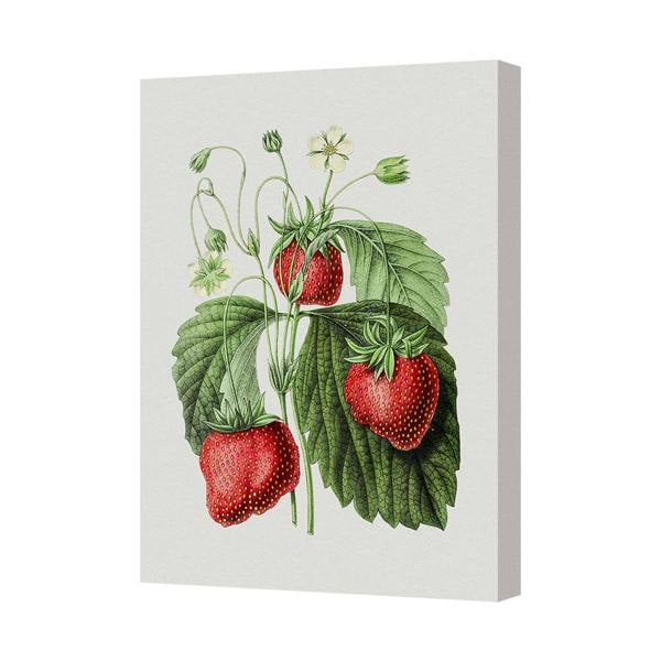 Benjamin Tate Design Strawberry Plant Botanical Canvas Print With Wooden Frame
