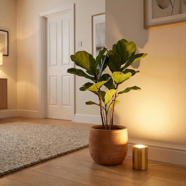 Small and Contemporary Brushed Gold LED Table/Floor Lamp Uplighter Image 6