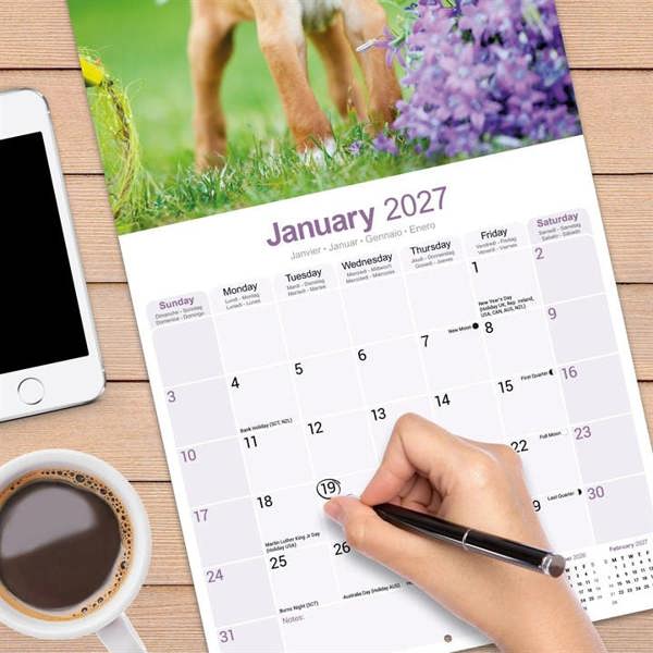 Pointer Calendar 2027, Wall Calendars, Month To View, Dogs, Gift