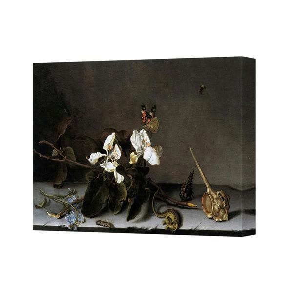 Benjamin Tate Design Floral Still Life Canvas Wall Art With Butterfly And Shell Motif