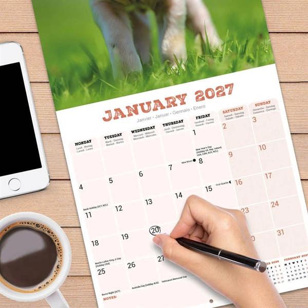 Pigs Calendar 2027, Wall Calendars, Month To View, Animals, Gift