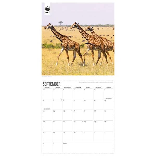 WWF, Giraffes Calendar 2027, Wall Calendars, Month To View, Animals, Gift