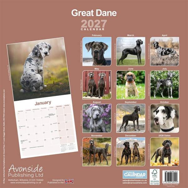 Great Dane Calendar 2027, Wall Calendars, Month To View, Dogs, Gift