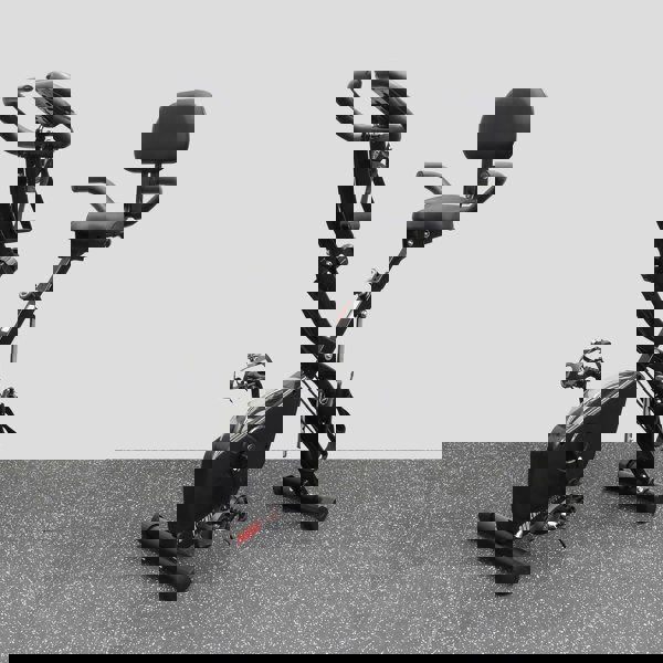 Phoenix Fitness 4-in-1 Exercise Bike