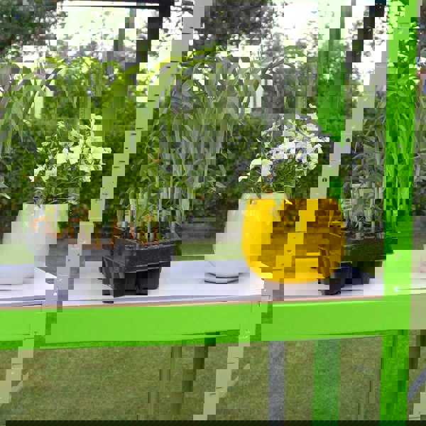 Monstershop Polytunnel 25mm 4m x 2m with Racking