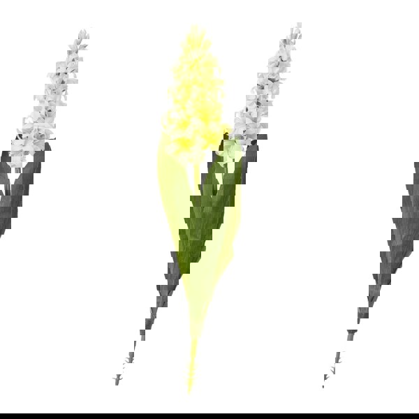 Hill Interiors Hyacinth Stem Artificial Plant - Yellow